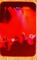  whitesnake 
